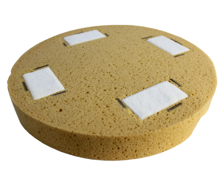 Щит губчастый густой оранжевый